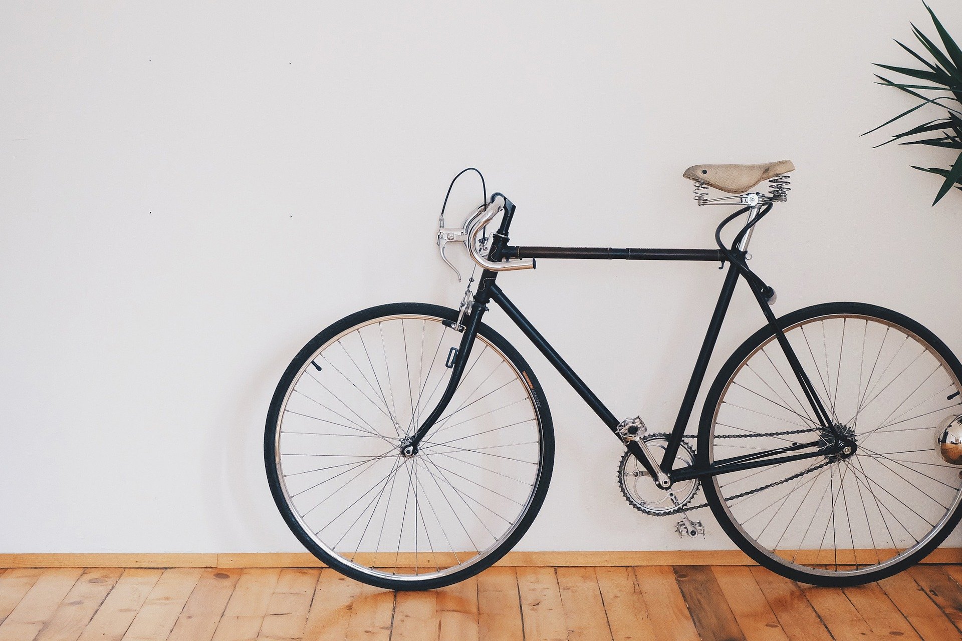 velo