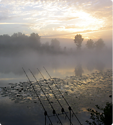 lac4