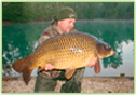 poisson2