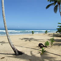 plage