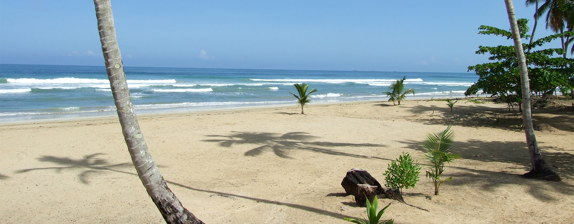 plage_las_terrenas