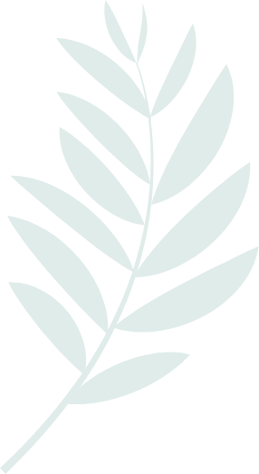Feuille de palmier