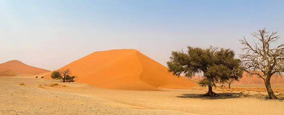 photo afrique