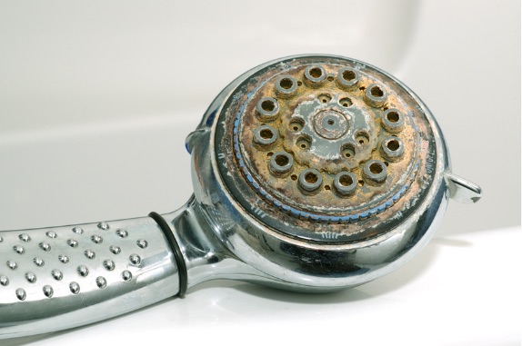 pomme de douche entartree