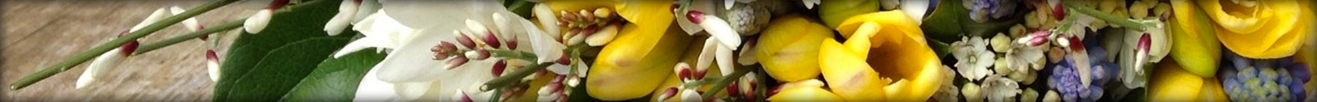 fleurs