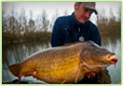 fisher