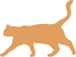 photo, chat, animaux, animal